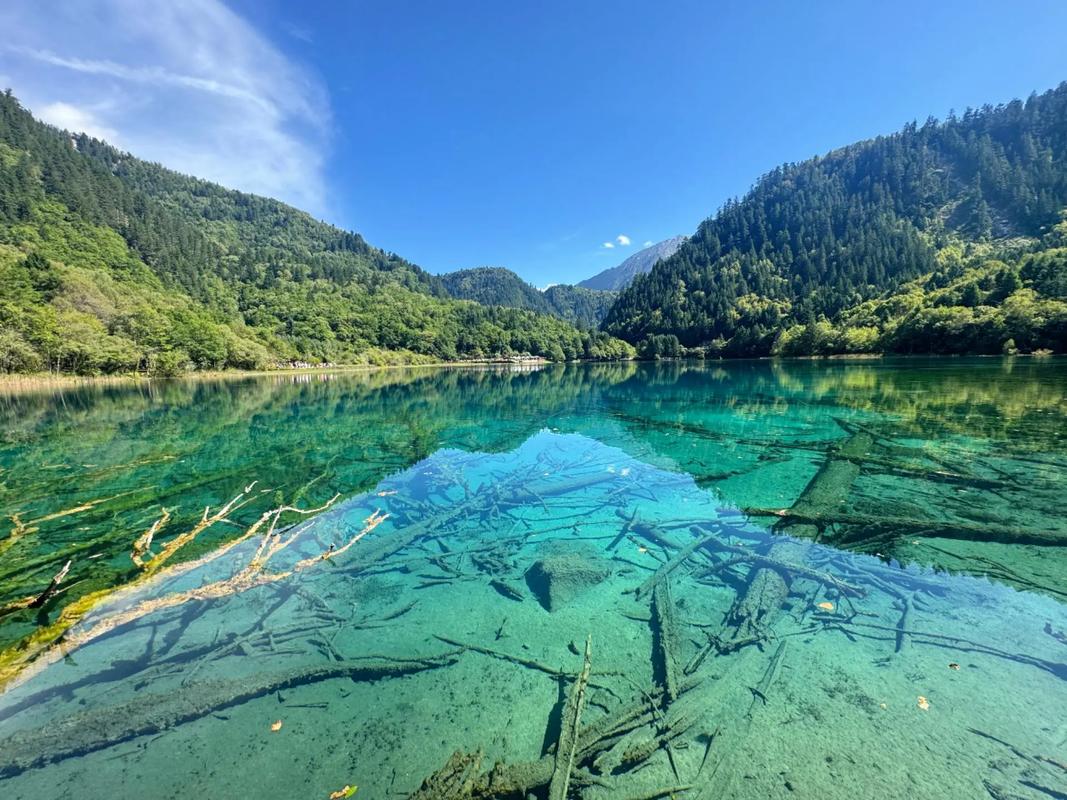 Full‑Day Jiuzhaigou Exploration